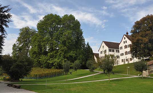 Park mit Weinreben und Kantonsschule
